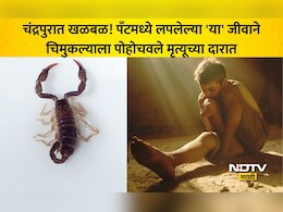 Chandrapur News: चंद्रपुरात खळबळ! खुंटीवरची पँट घातली अन् अंग थंड पडलं, 12 वर्षाच्या मुलाची 3 दिवस मृत्यूशी झुंज