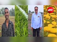 धान छोड़ अदरक-फूलों की खेती से मालामाल हो रहे किसान! छत्तीसगढ़ में क्यों बदल रही कृषि की तस्वीर