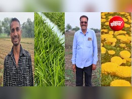 धान छोड़ अदरक-फूलों की खेती से मालामाल हो रहे किसान! छत्तीसगढ़ में क्यों बदल रही कृषि की तस्वीर