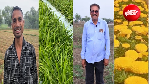 धान छोड़ अदरक-फूलों की खेती से मालामाल हो रहे किसान! छत्तीसगढ़ में क्यों बदल रही कृषि की तस्वीर