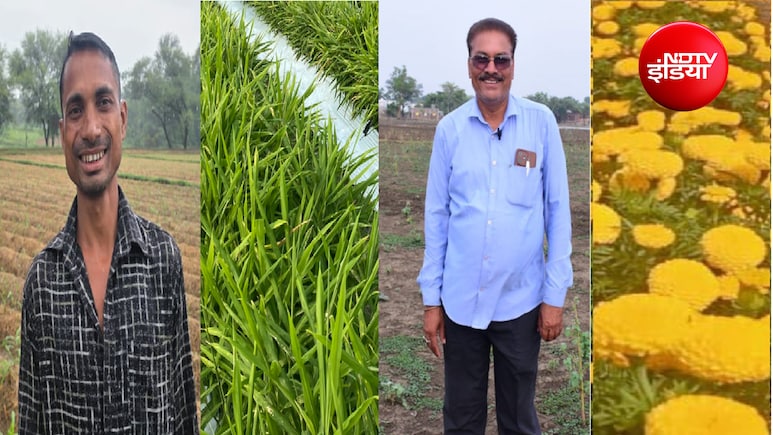धान छोड़ अदरक-फूलों की खेती से मालामाल हो रहे किसान! छत्तीसगढ़ में क्यों बदल रही कृषि की तस्वीर