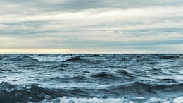 15 Indian Tourists Dead As Boat Capsizes Near Vietnam's Phu Quoc