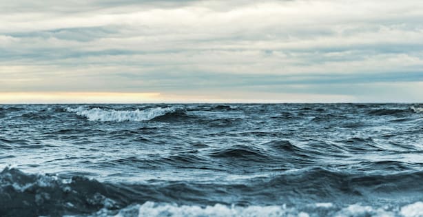 15 Indian Tourists Dead As Boat Capsizes Near Vietnam's Phu Quoc