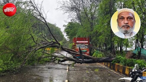 मुंबई में बारिश से पेड़ गिरने पर एक और शख्स की मौत,  BMC से दो घंटे तक नहीं मिली कोई मदद