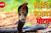 बिलासपुर में ₹17 करोड़ के घोटाले में बड़ा एक्शन, महिला डॉक्टर के बाद SDM और तहसील दफ्तर के 3 बाबू गिरफ्तार