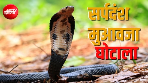 बिलासपुर में ₹17 करोड़ के घोटाले में बड़ा एक्शन, महिला डॉक्टर के बाद SDM और तहसील दफ्तर के 3 बाबू गिरफ्तार