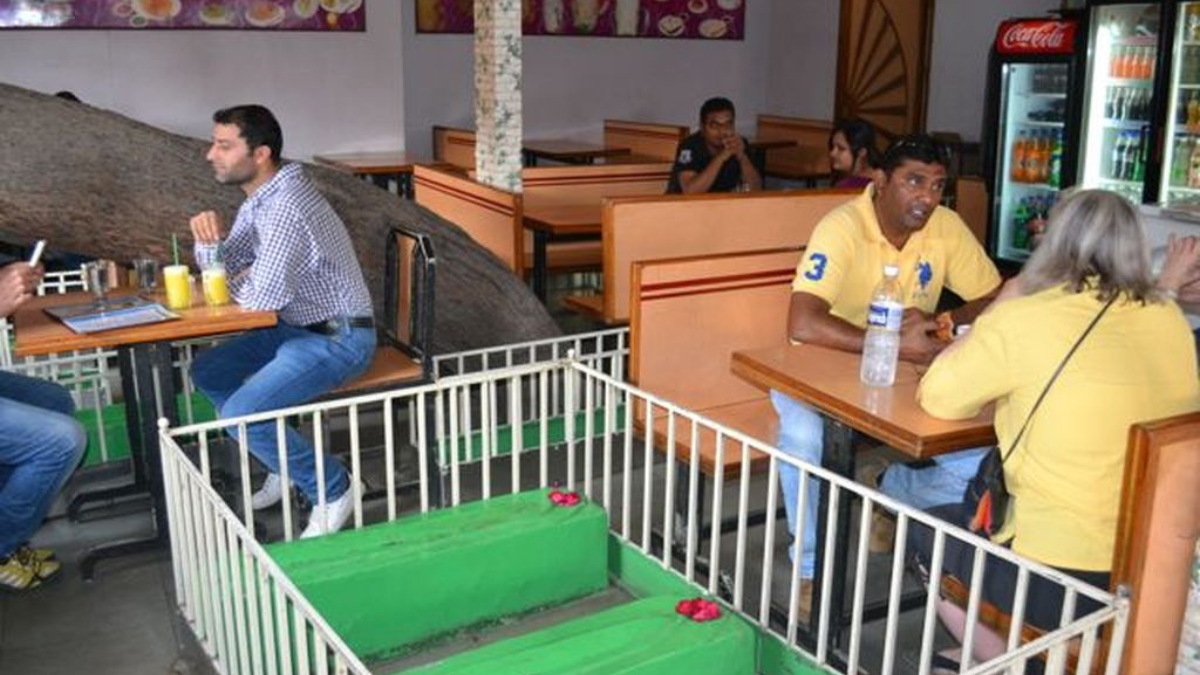75-Year-Old Ahmedabad Restaurant Where People Dine Next To 26 Graves