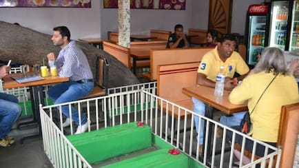 75-Year-Old Ahmedabad Restaurant Where People Dine Next To 26 Graves