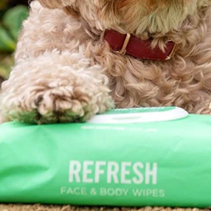 Keep Your Pet Fresh And Clean With These 5 Handy Wipes On Amazon