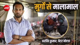 Success Story: देसी मुर्गों के दम पर बने करोड़पति! छोड़ी बैंक वाइस प्रेसिडेंट की नौकरी, 18 लाख का पैकेज