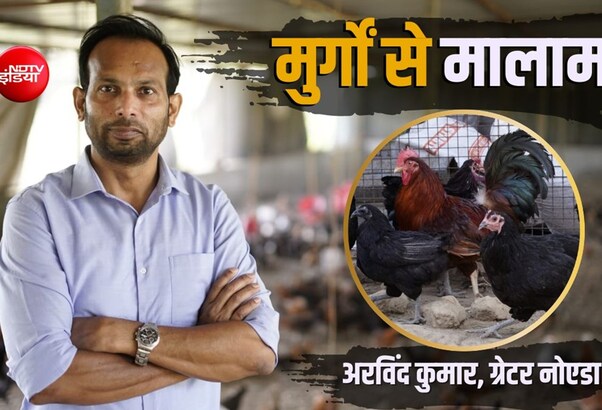 Success Story: देसी मुर्गों के दम पर बने करोड़पति! छोड़ी बैंक वाइस प्रेसिडेंट की नौकरी, 18 लाख का पैकेज