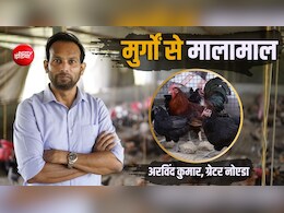 Success Story: देसी मुर्गों के दम पर बने करोड़पति! छोड़ी बैंक वाइस प्रेसिडेंट की नौकरी, 18 लाख का पैकेज