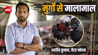 Success Story: देसी मुर्गों के दम पर बने करोड़पति! छोड़ी बैंक वाइस प्रेसिडेंट की नौकरी, 18 लाख का पैकेज