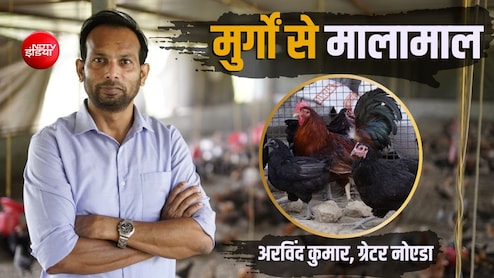 Success Story: देसी मुर्गों के दम पर बने करोड़पति! छोड़ी बैंक वाइस प्रेसिडेंट की नौकरी, 18 लाख का पैकेज