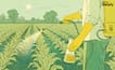 India's Fertiliser Import Dependence Rises. Should Farmers Be Worried?