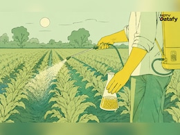 India's Fertiliser Import Dependence Rises. Should Farmers Be Worried?