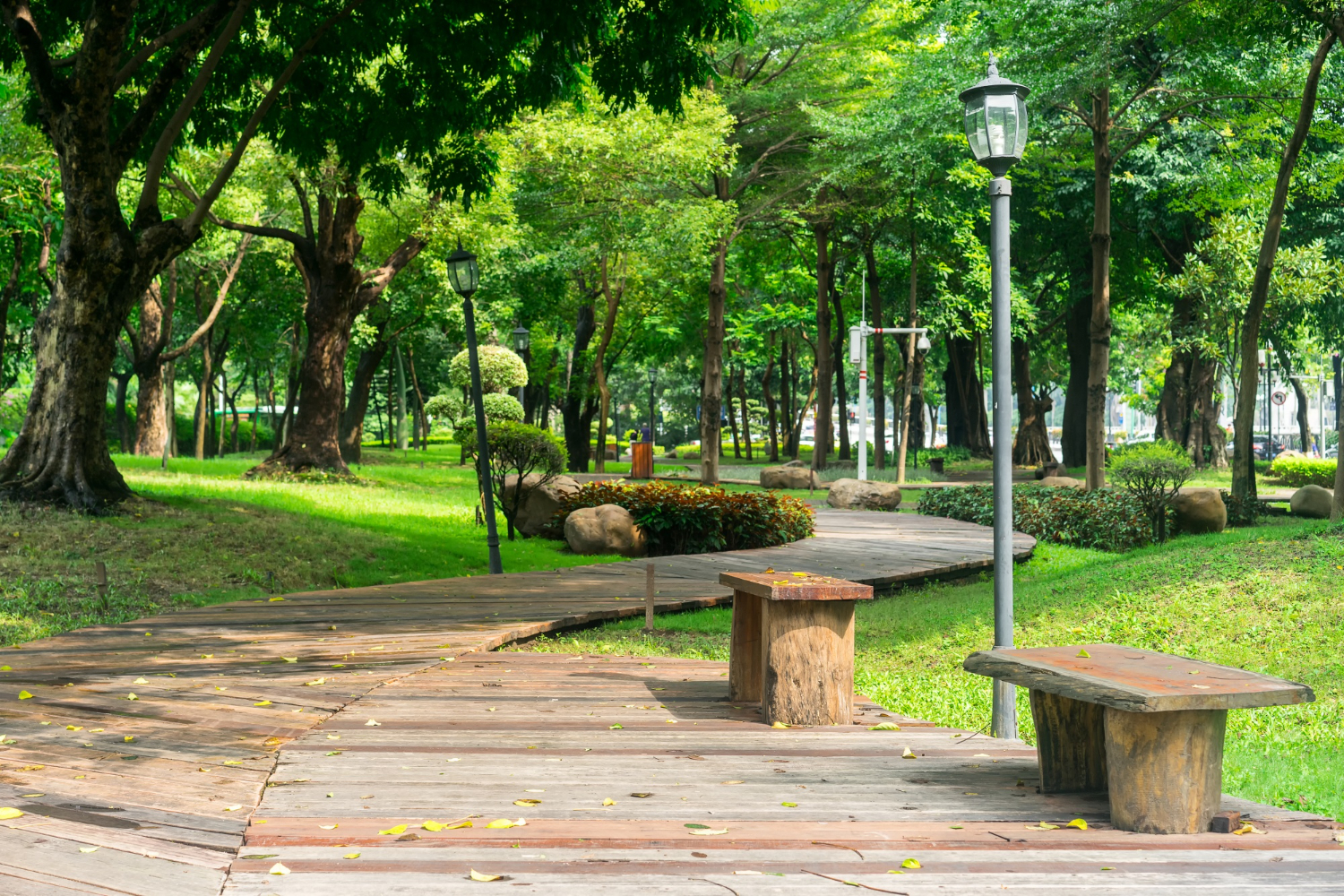 Green prescription can benefit the hormonal health of all people