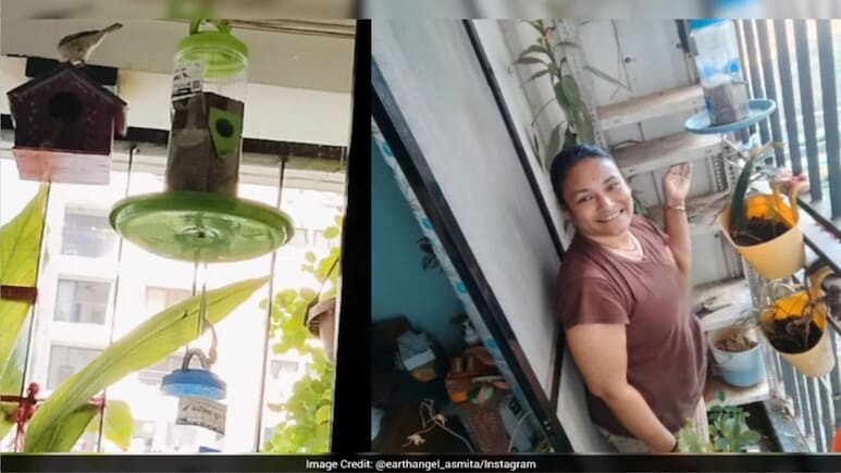 इस महिला ने छोटी सी बालकनी में बसाया हरियाली का संसार, अब पक्षी और तितलियों का बना आशियाना