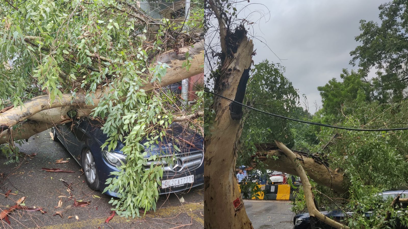 Mercedes Crushed In Delhi's East Of Kailash After Tree Falls On It Amid Rain
