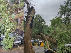 Mercedes Crushed In Delhi's East Of Kailash After Tree Falls On It Amid Rain