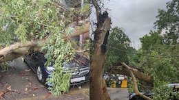 Mercedes Crushed In Delhi's East Of Kailash After Tree Falls On It Amid Rain