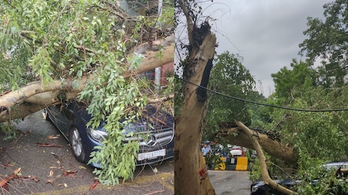 Mercedes Crushed In Delhi's East Of Kailash After Tree Falls On It Amid Rain