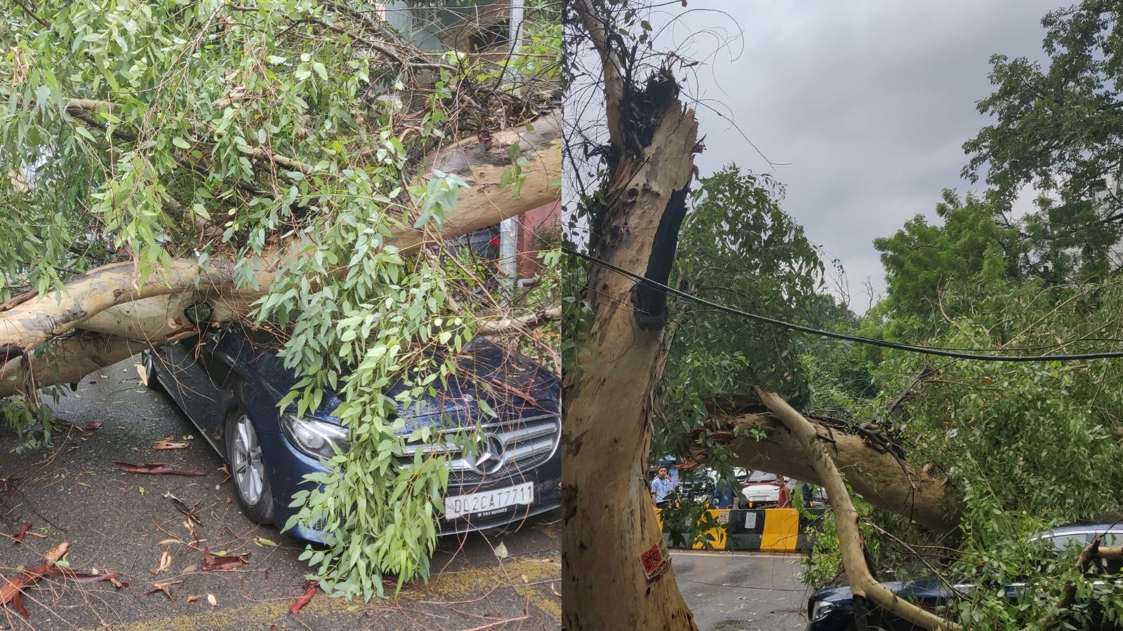 Mercedes Crushed In Delhi’s East Of Kailash After Tree Falls On It Amid Rain