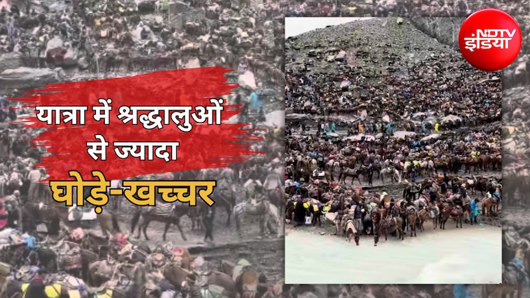 अमरनाथ यात्रा के पहले दिन दिखा चौंकाने वाला नजारा, श्रद्धालुओं से ज्यादा नजर आए घोड़े-खच्चर, वीडियो वायरल