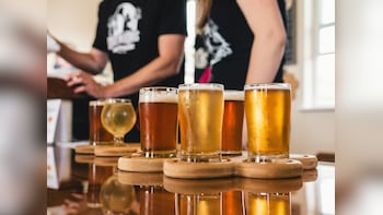 GM Breweries Q2 Results: Net Profit Rises 13% To Rs 39.3 Crore; Revenue Grows 20% YoY