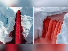 यहां बहता है खूनी झरना, ब्लड जैसा लाल क्यों दिखता है इसका पानी, चौंका देगी वजह