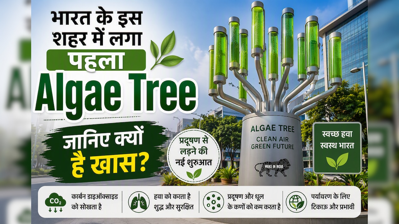 भारत के इस शहर में लगा देश का पहला Algae Tree, अकेला करेगा 25 पेड़ों के बराबर काम