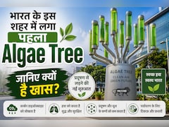 भारत के इस शहर में लगा देश का पहला Algae Tree, अकेला करेगा 25 पेड़ों के बराबर काम