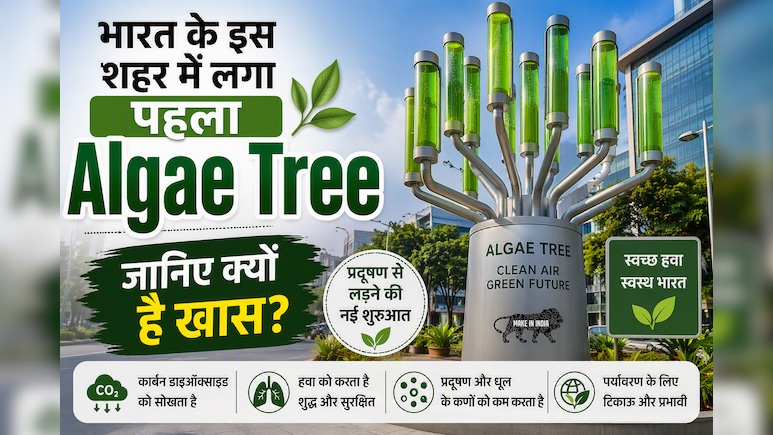 भारत के इस शहर में लगा देश का पहला Algae Tree, अकेला करेगा 25 पेड़ों के बराबर काम