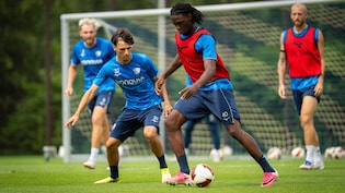 Beyond Finance And Facilities: Inside Human Element of VfL Bochum's Famous Youth Academy