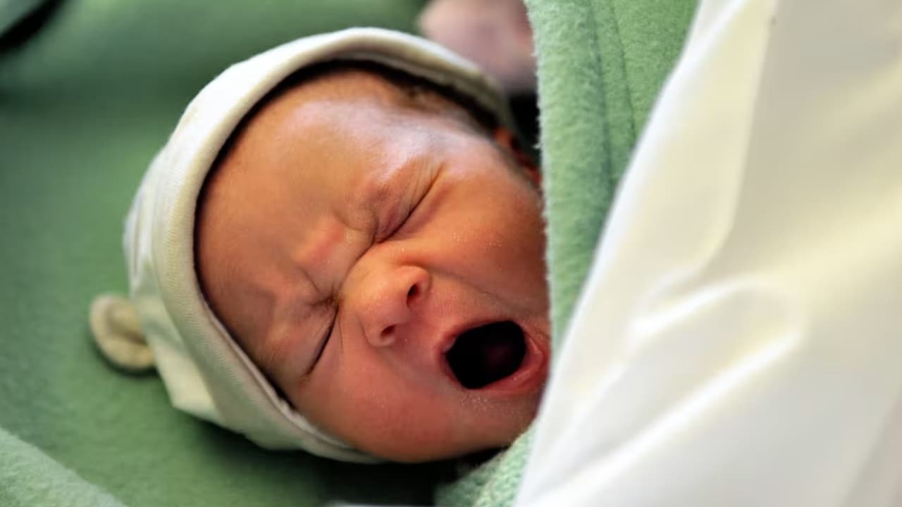 New Born New Born