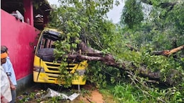 5-Year-Old Girl Killed After Tree Collapses On School Bus In Karnataka
