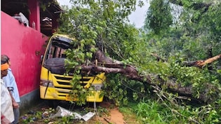 5-Year-Old Girl Killed After Tree Collapses On School Bus In Karnataka
