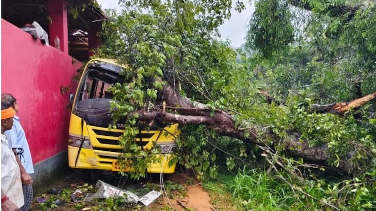 5-Year-Old Girl Killed After Tree Collapses On School Bus In Karnataka