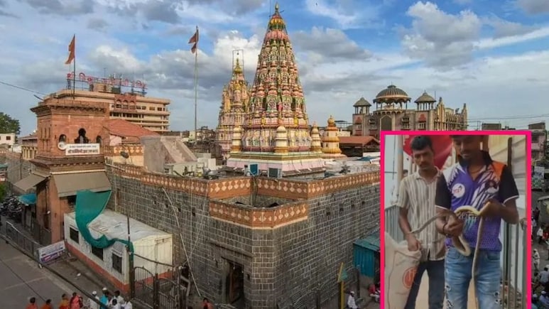 Pandharpur News: विठ्ठल मंदिराच्या दर्शन रांगेत आढळला साप, नागरिकांची पळापळ