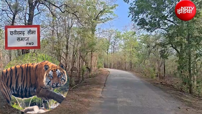 नक्&zwj;सलियों वाली चाल चल रहे शिकारियों को छत्तीसगढ़-महाराष्ट्र मिलकर दबोचेंगे, प्&zwj;लान तैयार