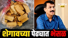 Shegaon News: शेगावच्या प्रसिद्ध पेढ्यात भेसळ, तुकाराम मुंढेंच्या निर्देशानंतर मोठी कारवाई, FDA चा गंभीर इशारा