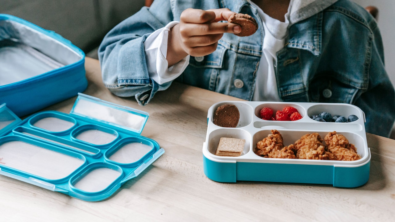 Are Stainless-Steel Lunch Boxes Better Than Plastic Ones?