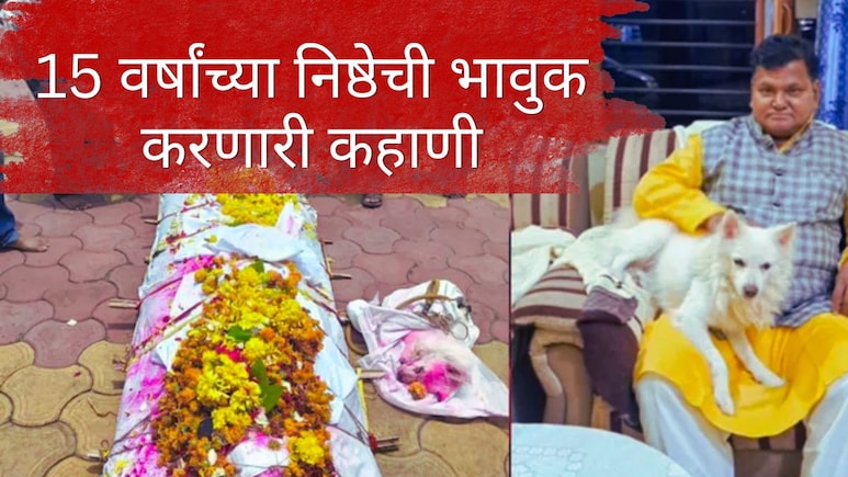 मालकाचा मृतदेह दारात, डुग्गूचं विव्हळणं...चालता चालता थांबला तो कायमचा; 15 वर्षांच्या निष्ठेची इमोशनल कहाणी