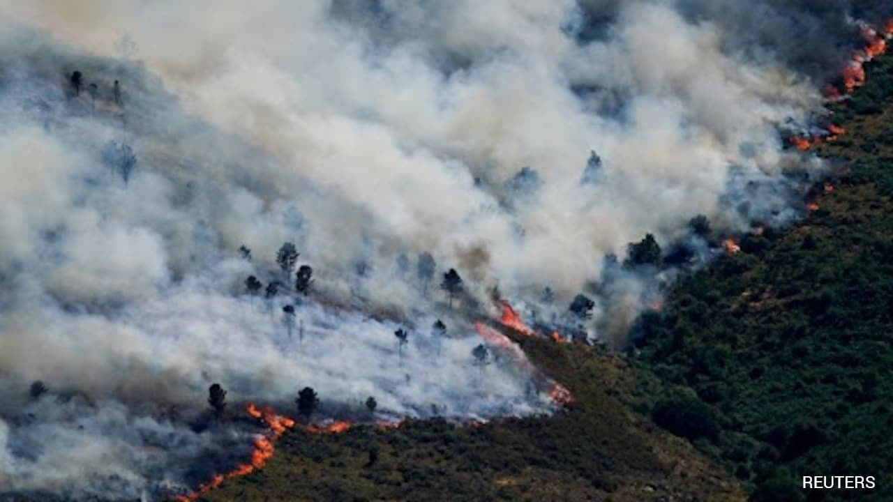 Spain Declares National Emergency Over Wildfires Amid Europe Heatwave