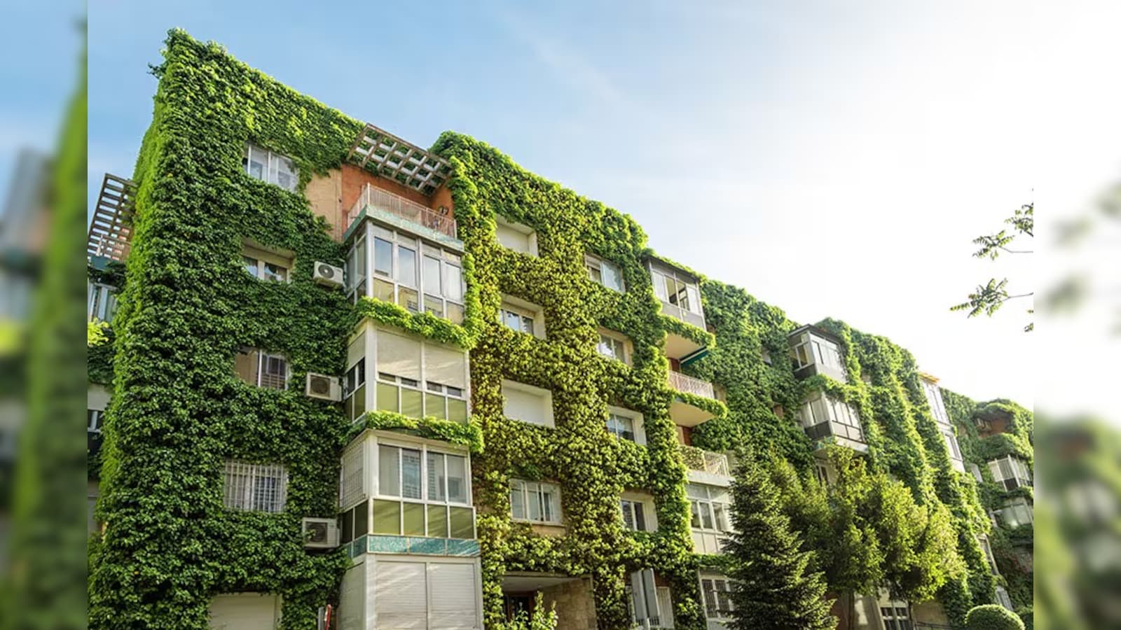https://c.ndtvimg.com/2026-07/6s8bec4k_green-building_625x300_03_July_26.jpeg?im=FitAndFill,algorithm=dnn,width=1600,height=900