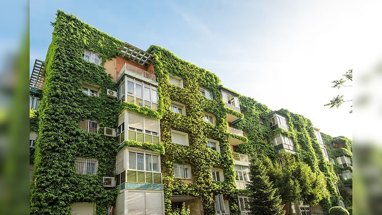 Paying Premium Price For A 'Green Home'? Here's What You Really Save