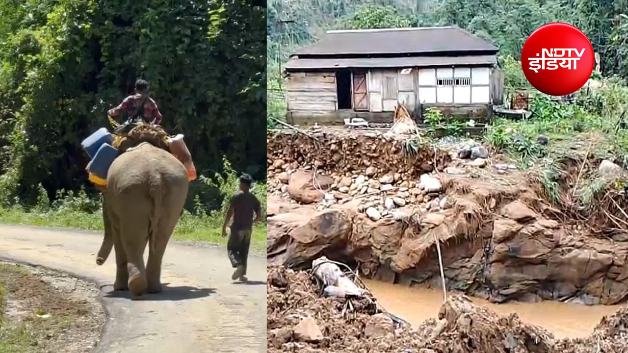 अरुणाचल में 12 गांवों के लिए देवदूत बने हाथी; बाढ़ पीड़ितों तक दवा, राशन और ईंधन पहुंचाने का सहारा