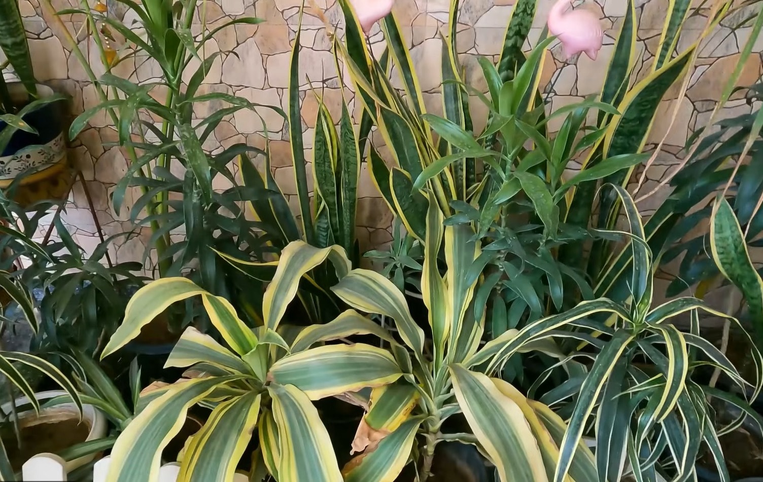 Add image caption here
