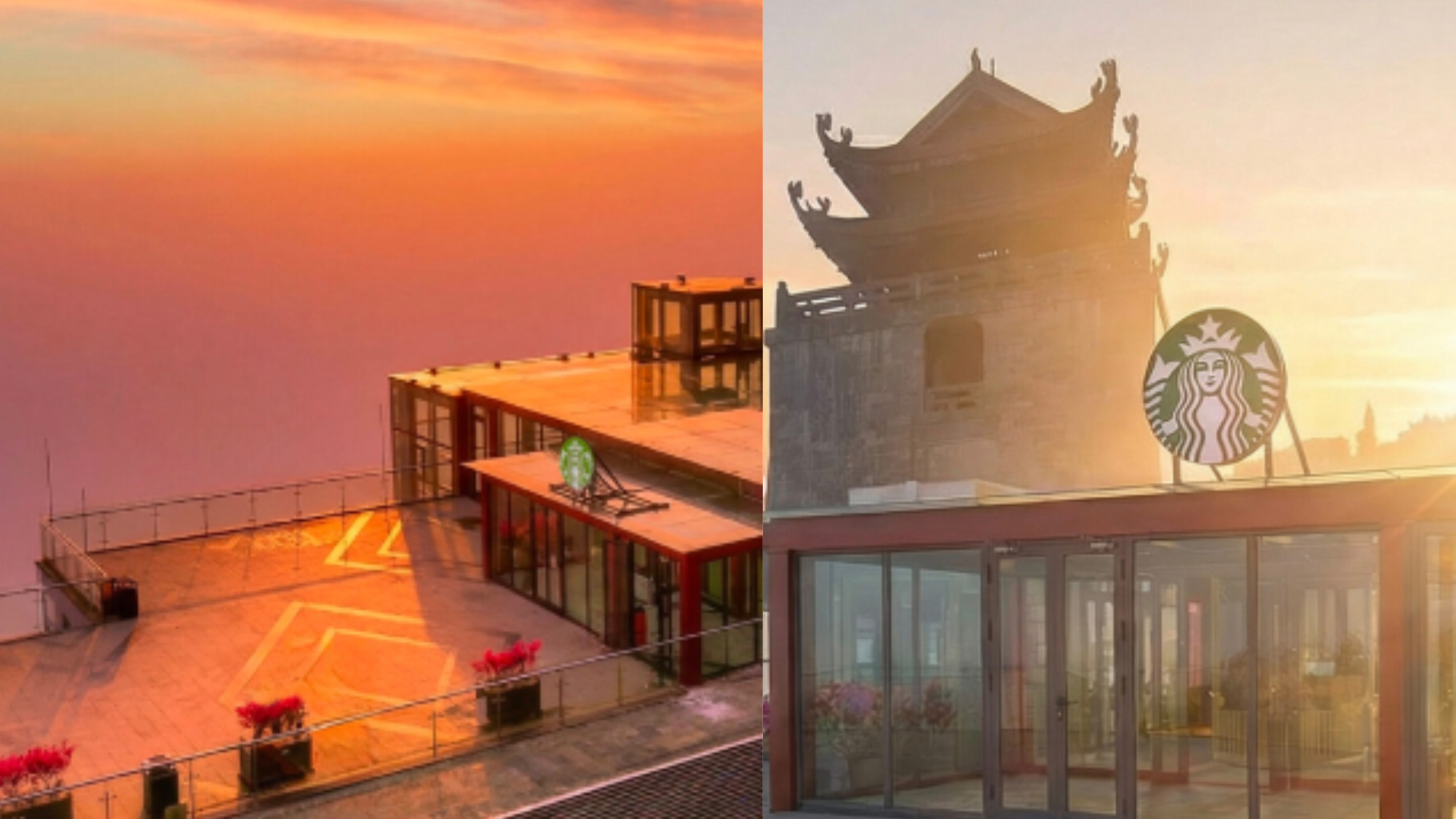 This Starbucks On Vietnam's Highest Peak Offers Coffee With Mountain Views