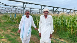 नीचे कर रहे खेती, ऊपर बना रहे बिजली; अन्नदाता से ऊर्जा दाता बने किसान कमा रहे लाखों रुपये